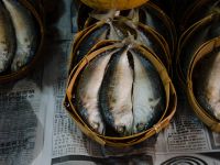 fish at open market